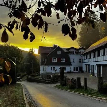 Waldgasthof Zur Vesser Apartment *